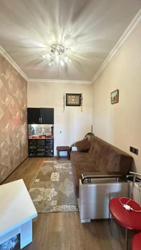 Home Elmler